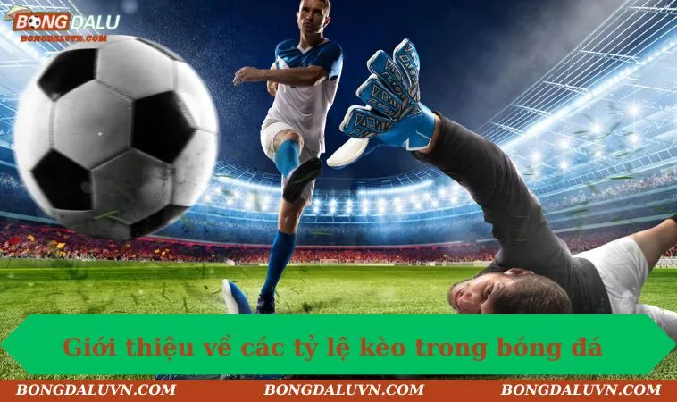 cac ty le keo trong bong da gioi thieu Giới thiệu về các tỷ lệ kèo trong bóng đá