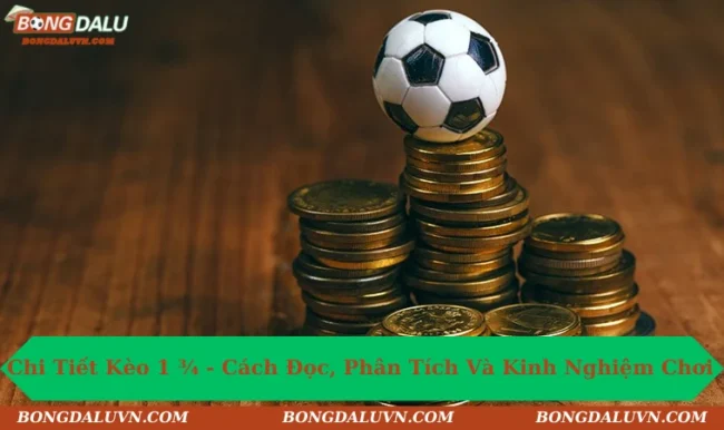 Chi Tiết Kèo 1 3/4 - Bí Mật Cho Người Mới Tham Gia Chơi