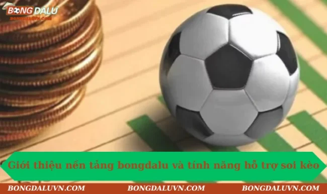 soi keo bongdalu 1 Tính năng soi kèo đa dụng
